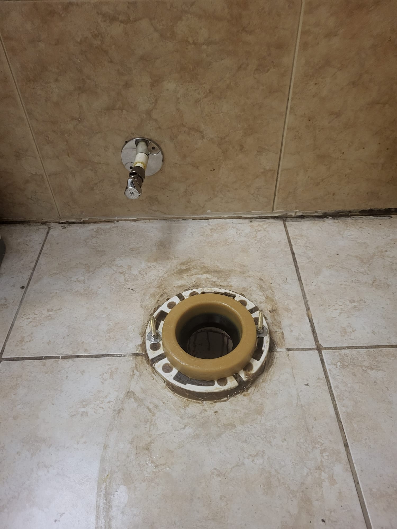 Toilet Flange with New Wax Ring